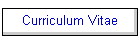 Curriculum Vitae