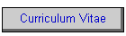 Curriculum Vitae